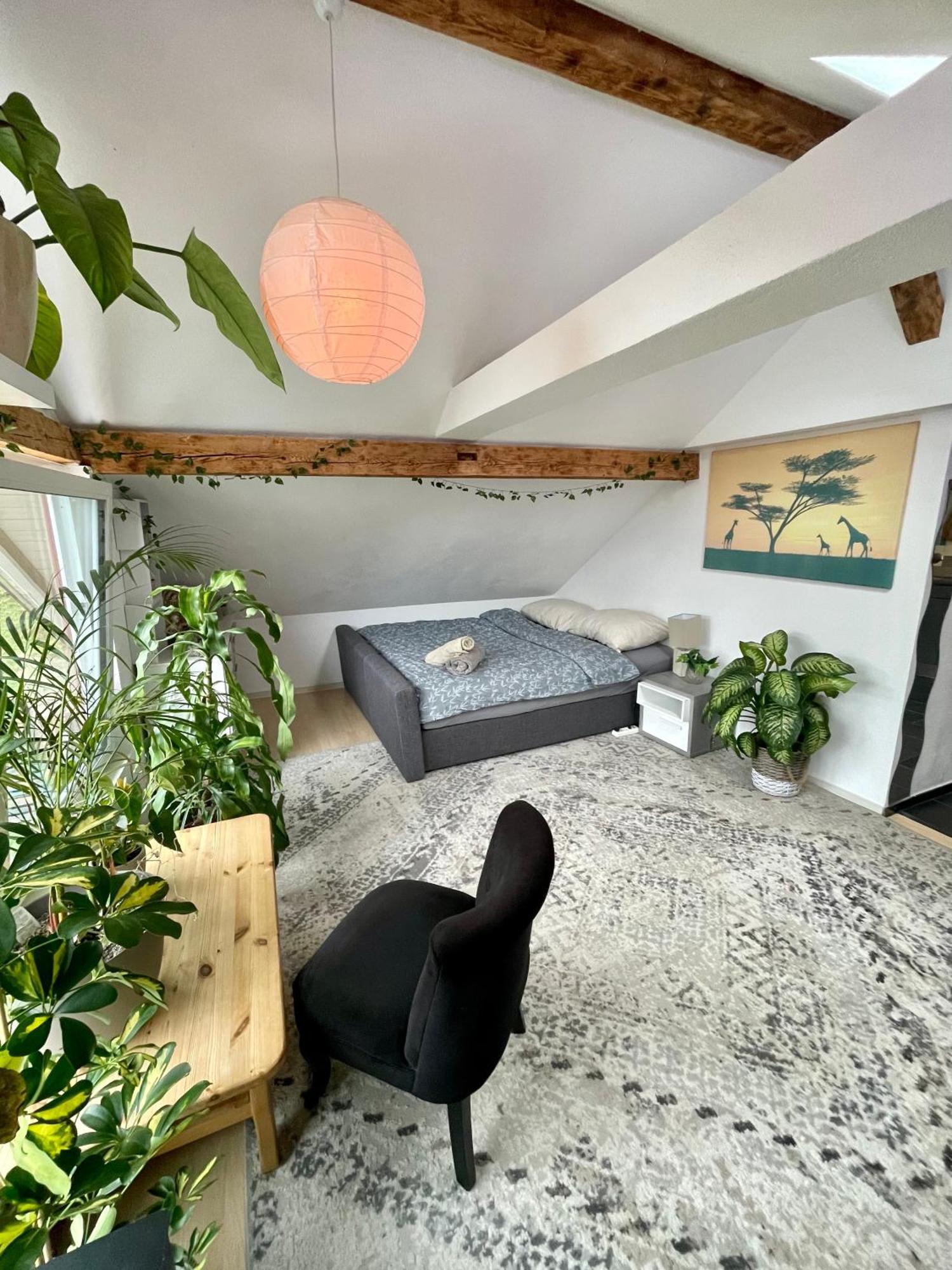 Old Farmhouse Loft Near Vaduz Sevelen Ngoại thất bức ảnh