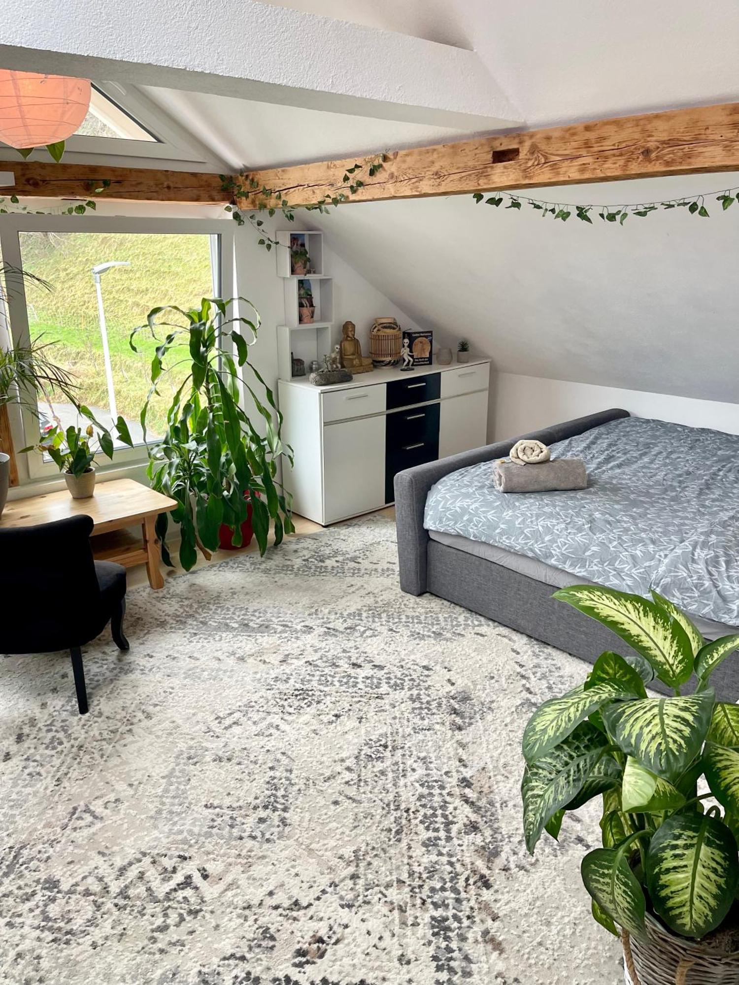 Old Farmhouse Loft Near Vaduz Sevelen Ngoại thất bức ảnh